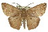  ( - 11ANIC-02471)  @15 [ ] CreativeCommons - Attribution (2011) ANIC/CBG Photography Group Centre for Biodiversity Genomics