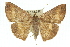  ( - 11ANIC-02473)  @14 [ ] CreativeCommons - Attribution (2011) ANIC/CBG Photography Group Centre for Biodiversity Genomics