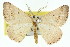  ( - 11ANIC-02501)  @15 [ ] CreativeCommons - Attribution (2011) ANIC/CBG Photography Group Centre for Biodiversity Genomics