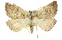  ( - 11ANIC-02543)  @13 [ ] CreativeCommons - Attribution (2011) ANIC/CBG Photography Group Centre for Biodiversity Genomics