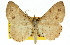  ( - 11ANIC-02560)  @11 [ ] CreativeCommons - Attribution (2011) ANIC/CBG Photography Group Centre for Biodiversity Genomics