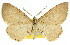 ( - 11ANIC-02561)  @11 [ ] CreativeCommons - Attribution (2011) ANIC/CBG Photography Group Centre for Biodiversity Genomics