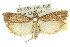  ( - 11ANIC-02651)  @13 [ ] CreativeCommons - Attribution (2011) ANIC/CBG Photography Group Centre for Biodiversity Genomics