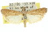  ( - 11ANIC-02653)  @13 [ ] CreativeCommons - Attribution (2011) ANIC/CBG Photography Group Centre for Biodiversity Genomics