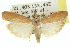  ( - 11ANIC-02655)  @13 [ ] CreativeCommons - Attribution (2011) ANIC/CBG Photography Group Centre for Biodiversity Genomics