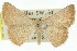  ( - 11ANIC-02665)  @14 [ ] CreativeCommons - Attribution (2011) ANIC/CBG Photography Group Centre for Biodiversity Genomics