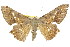  ( - 11ANIC-02669)  @13 [ ] CreativeCommons - Attribution (2011) ANIC/CBG Photography Group Centre for Biodiversity Genomics
