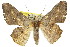 ( - 11ANIC-02671)  @14 [ ] CreativeCommons - Attribution (2011) ANIC/CBG Photography Group Centre for Biodiversity Genomics