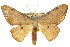  ( - 11ANIC-02673)  @14 [ ] CreativeCommons - Attribution (2011) ANIC/CBG Photography Group Centre for Biodiversity Genomics