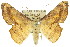  ( - 11ANIC-02674)  @14 [ ] CreativeCommons - Attribution (2011) ANIC/CBG Photography Group Centre for Biodiversity Genomics