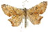  ( - 11ANIC-02677)  @14 [ ] CreativeCommons - Attribution (2011) ANIC/CBG Photography Group Centre for Biodiversity Genomics