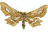  ( - 11ANIC-02684)  @14 [ ] CreativeCommons - Attribution (2011) ANIC/CBG Photography Group Centre for Biodiversity Genomics