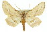  ( - 11ANIC-02685)  @14 [ ] CreativeCommons - Attribution (2011) ANIC/CBG Photography Group Centre for Biodiversity Genomics