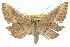  ( - 11ANIC-02692)  @11 [ ] CreativeCommons - Attribution (2011) ANIC/CBG Photography Group Centre for Biodiversity Genomics