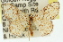  ( - 11ANIC-02706)  @13 [ ] CreativeCommons - Attribution (2011) ANIC/CBG Photography Group Centre for Biodiversity Genomics