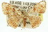  ( - 11ANIC-02708)  @11 [ ] CreativeCommons - Attribution (2011) ANIC/CBG Photography Group Centre for Biodiversity Genomics