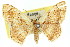  ( - 11ANIC-02710)  @11 [ ] CreativeCommons - Attribution (2011) ANIC/CBG Photography Group Centre for Biodiversity Genomics