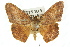  ( - 11ANIC-02740)  @13 [ ] CreativeCommons - Attribution (2011) ANIC/CBG Photography Group Centre for Biodiversity Genomics