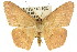  ( - 11ANIC-02741)  @15 [ ] CreativeCommons - Attribution (2011) ANIC/CBG Photography Group Centre for Biodiversity Genomics