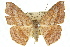  ( - 11ANIC-02743)  @14 [ ] CreativeCommons - Attribution (2011) ANIC/CBG Photography Group Centre for Biodiversity Genomics