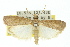  ( - 11ANIC-02757)  @13 [ ] CreativeCommons - Attribution (2011) ANIC/CBG Photography Group Centre for Biodiversity Genomics