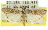  ( - 11ANIC-02788)  @13 [ ] CreativeCommons - Attribution (2011) ANIC/CBG Photography Group Centre for Biodiversity Genomics