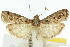  ( - 11ANIC-02968)  @14 [ ] CreativeCommons - Attribution (2011) ANIC/CBG Photography Group Centre for Biodiversity Genomics