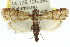  ( - 11ANIC-02989)  @14 [ ] CreativeCommons - Attribution (2011) ANIC/CBG Photography Group Centre for Biodiversity Genomics
