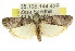 ( - 11ANIC-03011)  @14 [ ] CreativeCommons - Attribution (2011) ANIC/CBG Photography Group Centre for Biodiversity Genomics