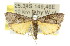  ( - 11ANIC-03149)  @13 [ ] CreativeCommons - Attribution (2011) ANIC/CBG Photography Group Centre for Biodiversity Genomics