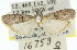  ( - 11ANIC-03168)  @13 [ ] CreativeCommons - Attribution (2011) ANIC/CBG Photography Group Centre for Biodiversity Genomics