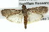  ( - 11ANIC-03185)  @13 [ ] CreativeCommons - Attribution (2011) ANIC/CBG Photography Group Centre for Biodiversity Genomics