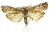  ( - 11ANIC-03214)  @15 [ ] CreativeCommons - Attribution (2011) ANIC/CBG Photography Group Centre for Biodiversity Genomics