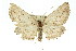  ( - 11ANIC-03299)  @13 [ ] CreativeCommons - Attribution (2011) ANIC/CBG Photography Group Centre for Biodiversity Genomics