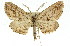  ( - 11ANIC-03301)  @14 [ ] CreativeCommons - Attribution (2011) ANIC/CBG Photography Group Centre for Biodiversity Genomics