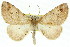  ( - 11ANIC-03420)  @11 [ ] CreativeCommons - Attribution (2011) ANIC/CBG Photography Group Centre for Biodiversity Genomics