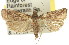  ( - 11ANIC-03455)  @13 [ ] CreativeCommons - Attribution (2011) ANIC/CBG Photography Group Centre for Biodiversity Genomics