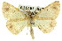  ( - 11ANIC-03517)  @11 [ ] CreativeCommons - Attribution (2011) ANIC/CBG Photography Group Centre for Biodiversity Genomics