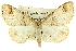  ( - 11ANIC-03520)  @11 [ ] CreativeCommons - Attribution (2011) ANIC/CBG Photography Group Centre for Biodiversity Genomics