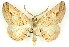 ( - 11ANIC-03527)  @11 [ ] CreativeCommons - Attribution (2011) ANIC/CBG Photography Group Centre for Biodiversity Genomics