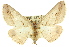  ( - 11ANIC-03529)  @14 [ ] CreativeCommons - Attribution (2011) ANIC/CBG Photography Group Centre for Biodiversity Genomics