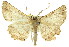  ( - 11ANIC-03534)  @14 [ ] CreativeCommons - Attribution (2011) ANIC/CBG Photography Group Centre for Biodiversity Genomics