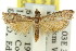  ( - 11ANIC-03725)  @13 [ ] CreativeCommons - Attribution (2011) ANIC/CBG Photography Group Centre for Biodiversity Genomics