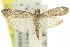  ( - 11ANIC-03751)  @14 [ ] CreativeCommons - Attribution (2011) ANIC/CBG Photography Group Centre for Biodiversity Genomics