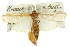  ( - 11ANIC-03794)  @14 [ ] CreativeCommons - Attribution (2011) ANIC/CBG Photography Group Centre for Biodiversity Genomics