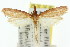  ( - 11ANIC-03813)  @11 [ ] CreativeCommons - Attribution (2011) ANIC/CBG Photography Group Centre for Biodiversity Genomics