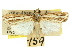  (Ubida sp. ANIC7 - 11ANIC-04659)  @11 [ ] CreativeCommons - Attribution (2011) ANIC/CBG Photography Group Centre for Biodiversity Genomics