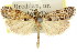  ( - 11ANIC-04730)  @14 [ ] CreativeCommons - Attribution (2011) ANIC/CBG Photography Group Centre for Biodiversity Genomics
