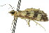  ( - 11ANIC-04040)  @12 [ ] CreativeCommons - Attribution (2011) ANIC/CBG Photography Group Centre for Biodiversity Genomics