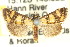  ( - 11ANIC-04044)  @14 [ ] CreativeCommons - Attribution (2011) ANIC/CBG Photography Group Centre for Biodiversity Genomics